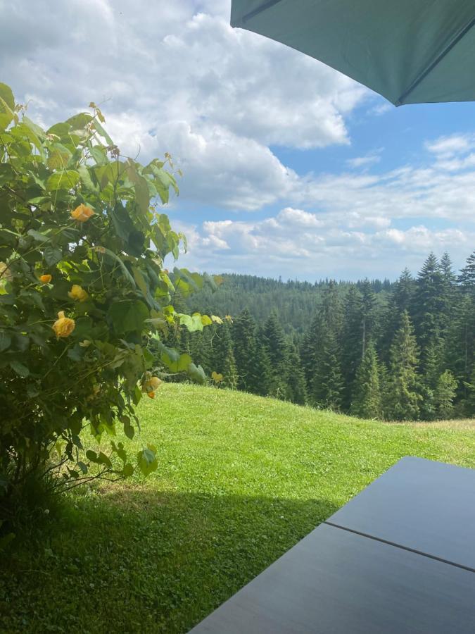 W Gorach Gorce Apartment