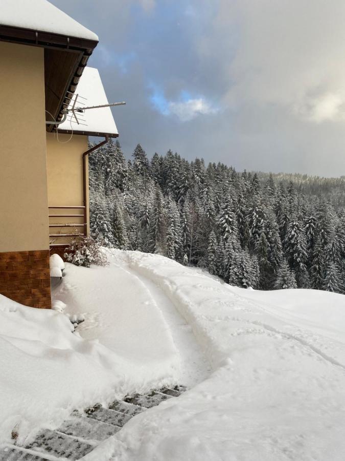 W Gorach Gorce * Nowy Targ